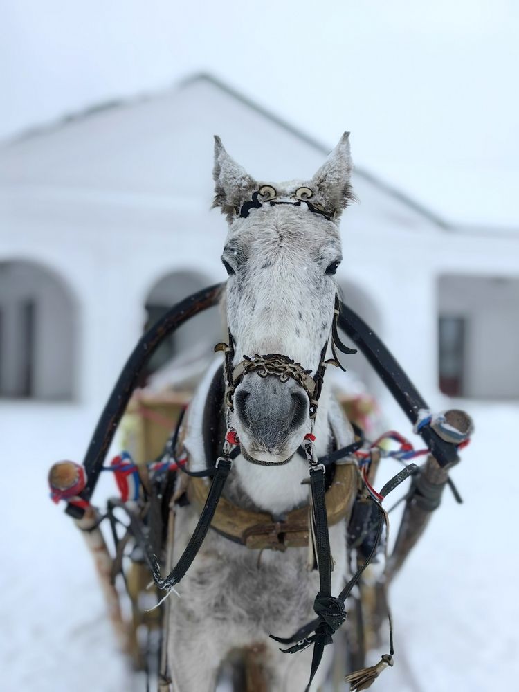 Photograph by OLGA MIKHNEVICH