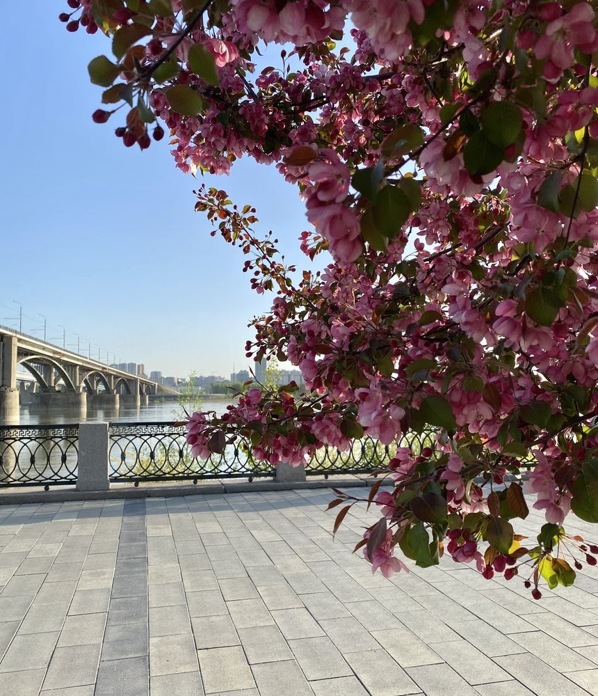 Photograph by Алиса Лукина