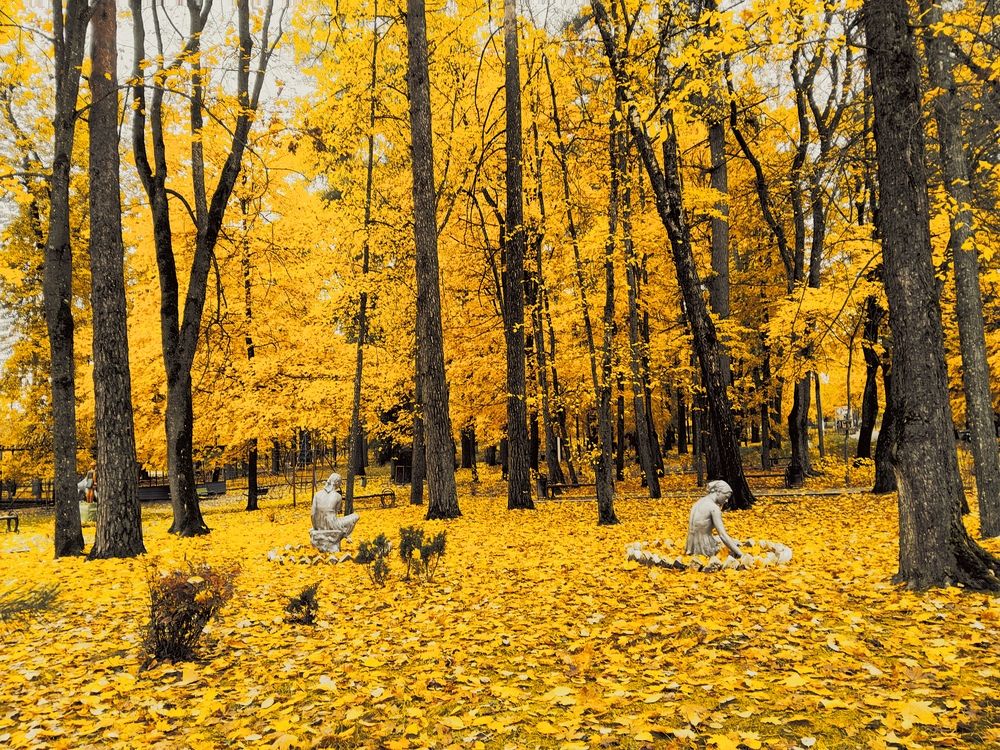 Photograph by Елена Сухорученкова