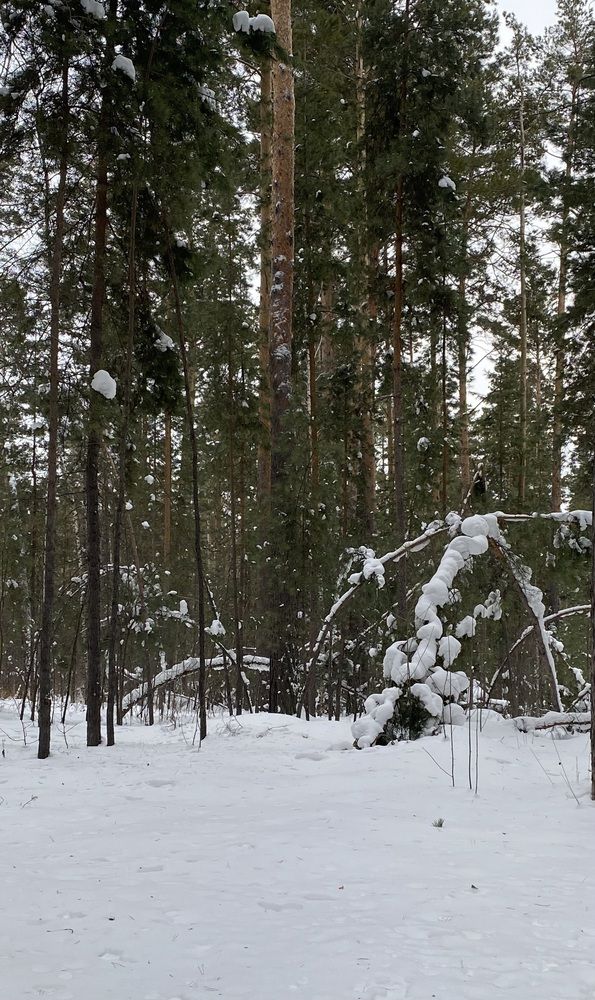 Photograph by Алиса Лукина