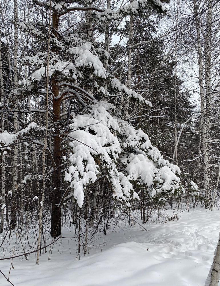 Photograph by Алиса Лукина