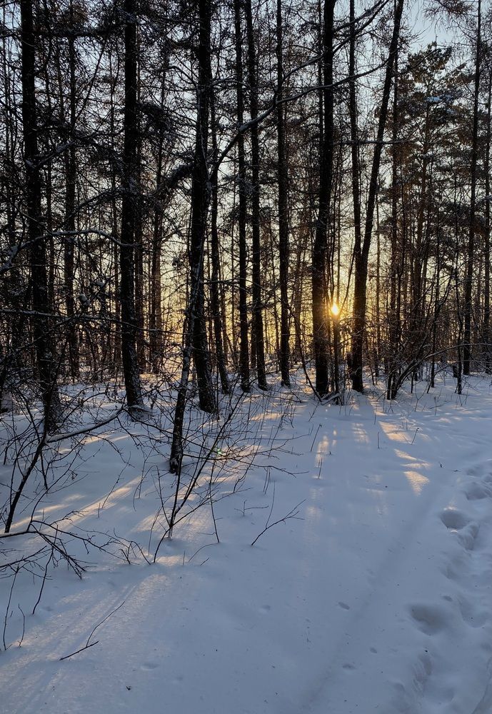 Photograph by Алиса Лукина