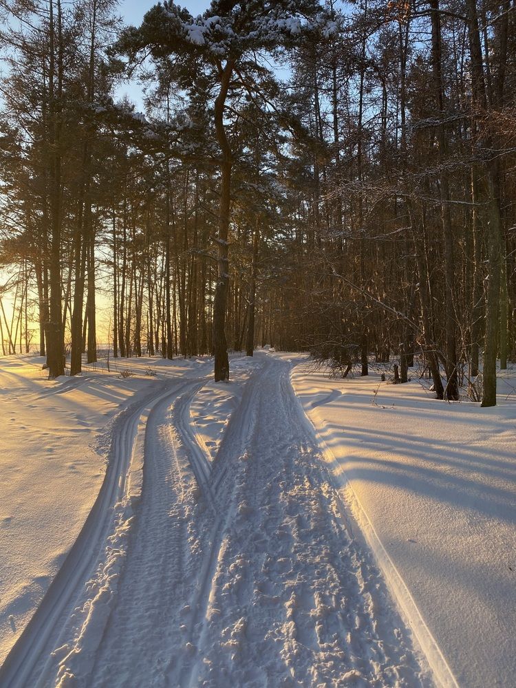 Photograph by Алиса Лукина