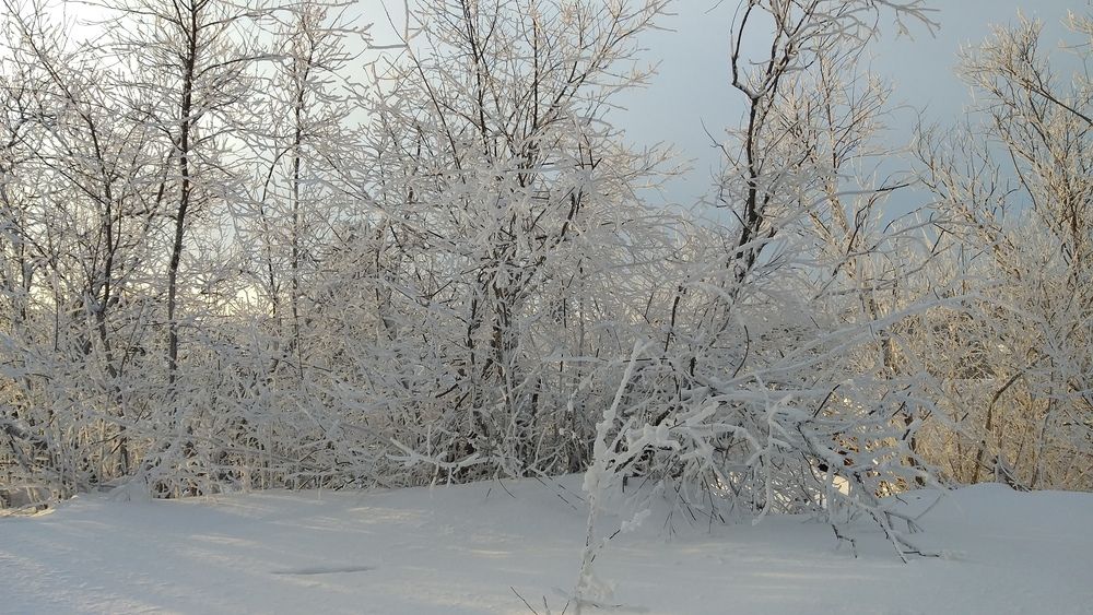 Photograph by Юлиана Иванова