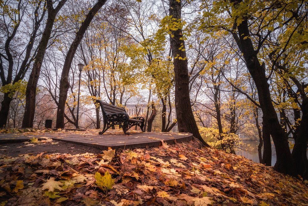 Фотография автора Сережа Сережин