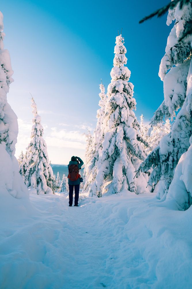 Photograph by Иван Кривоносов