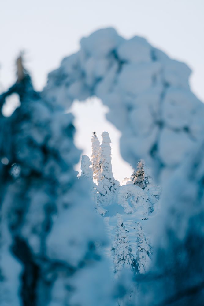 Photograph by Иван Кривоносов