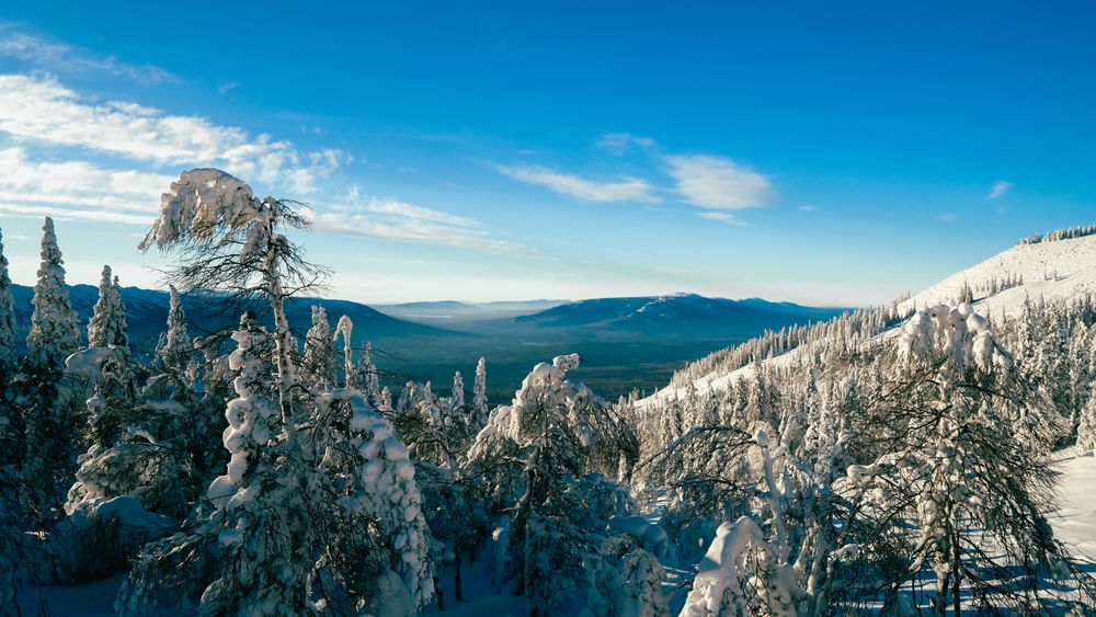 Photograph by Иван Кривоносов