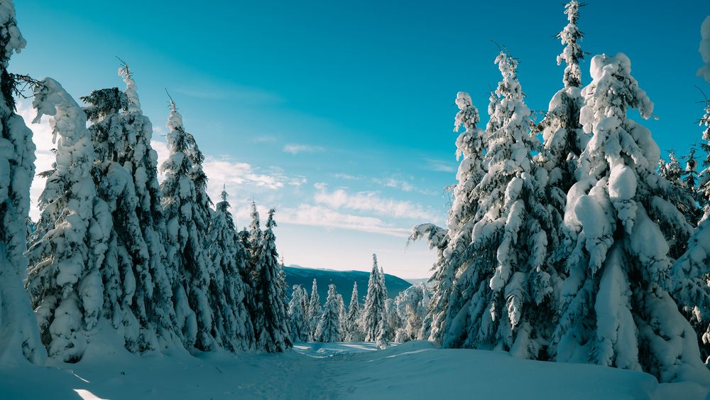 Photograph by Иван Кривоносов