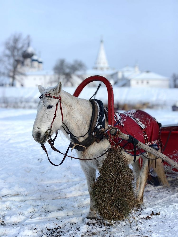 Photograph by OLGA MIKHNEVICH