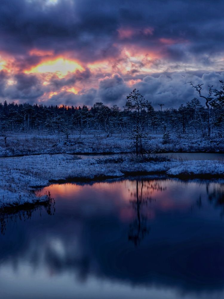 Фотография автора Анна Семенова
