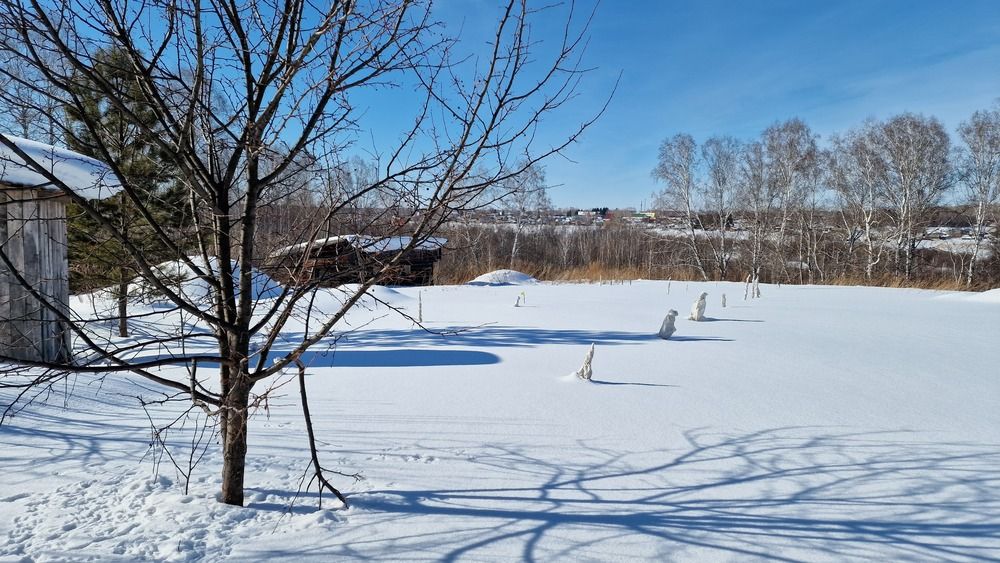 Photograph by Дарья Агапова