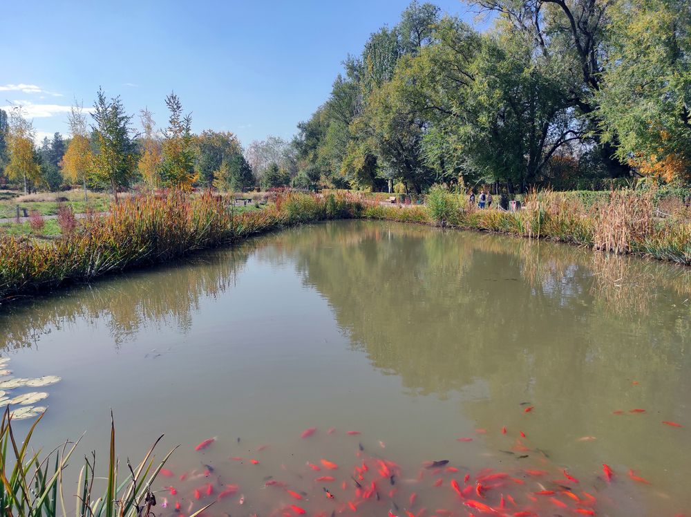 Photograph by Татьяна Фёдорова