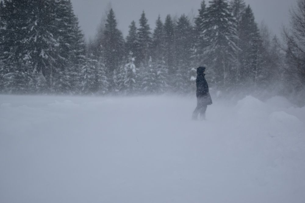 Photograph by Ксения Харлапина