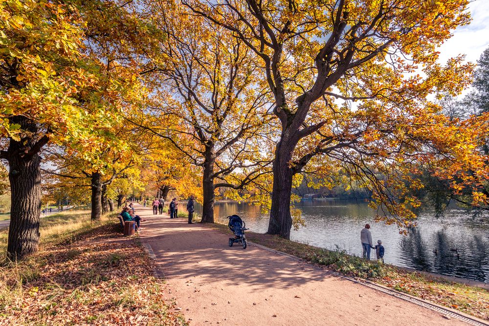 Photograph by Алексеев Сергей