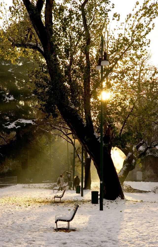 Photograph by Kuzmichev Alexey