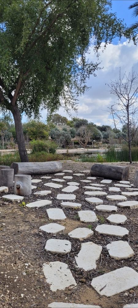 Фотография автора Ирина Авраменко