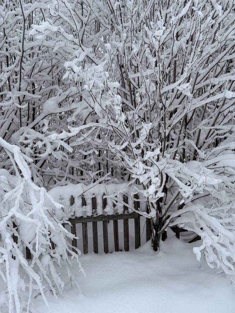 Photograph by Анастасия Авдеева