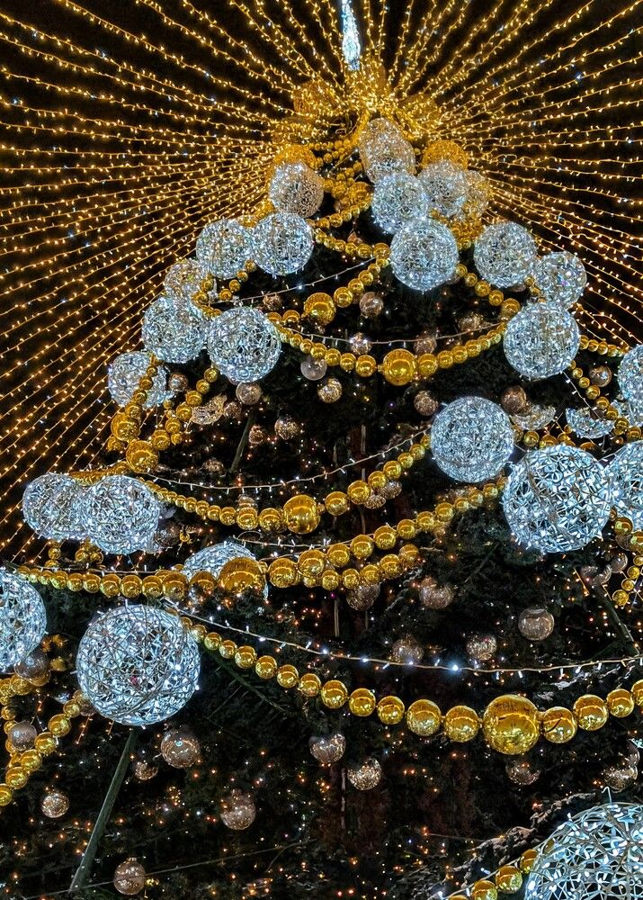 Photograph by Любовь Колмакова