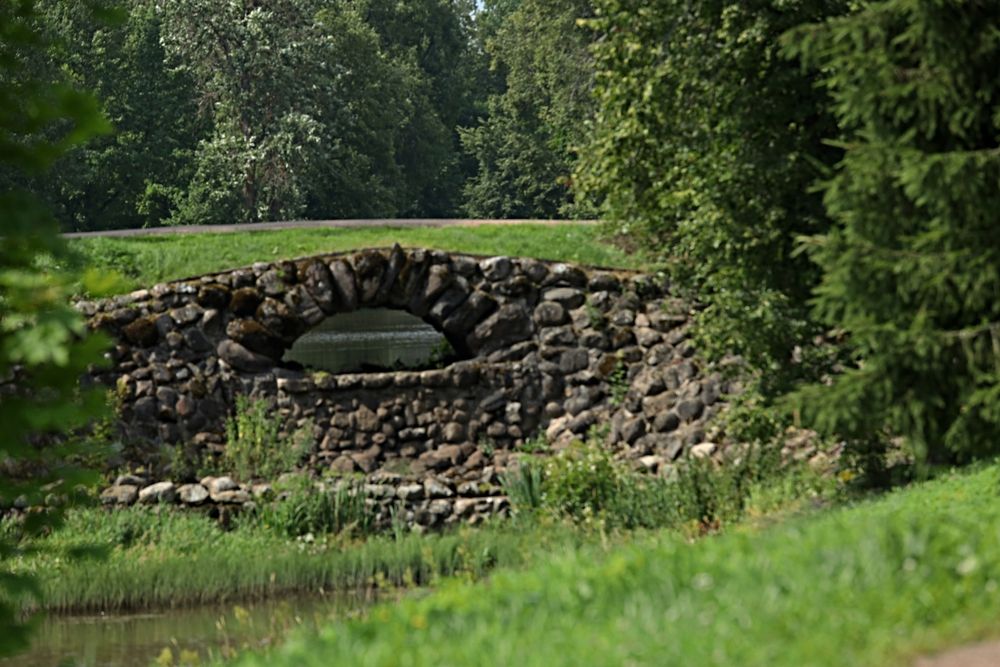 Photograph by Татьяна Слесарева