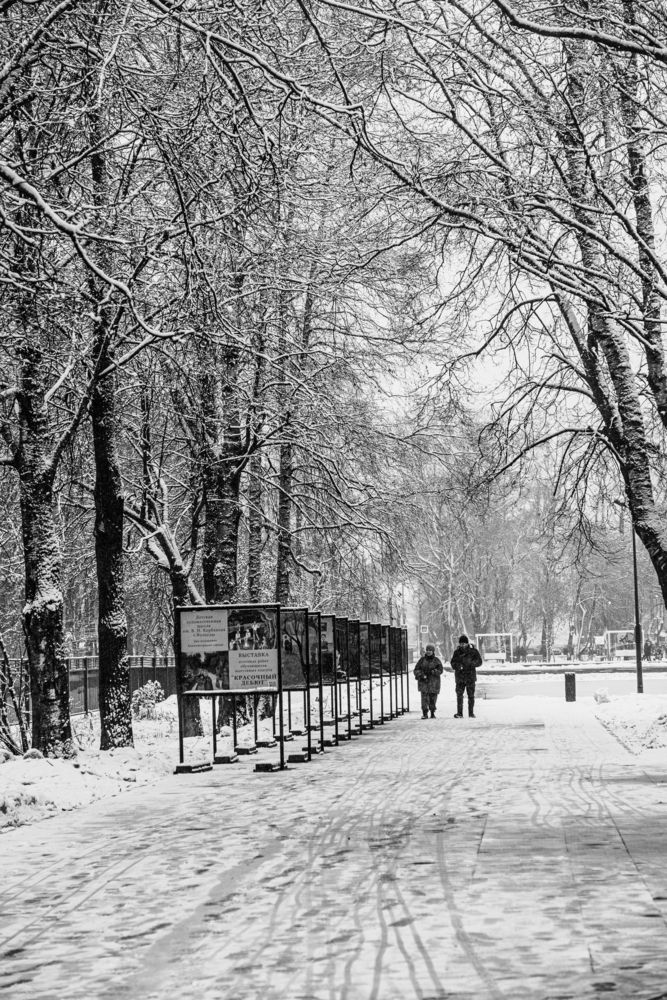 Photograph by Sergey Kalinin