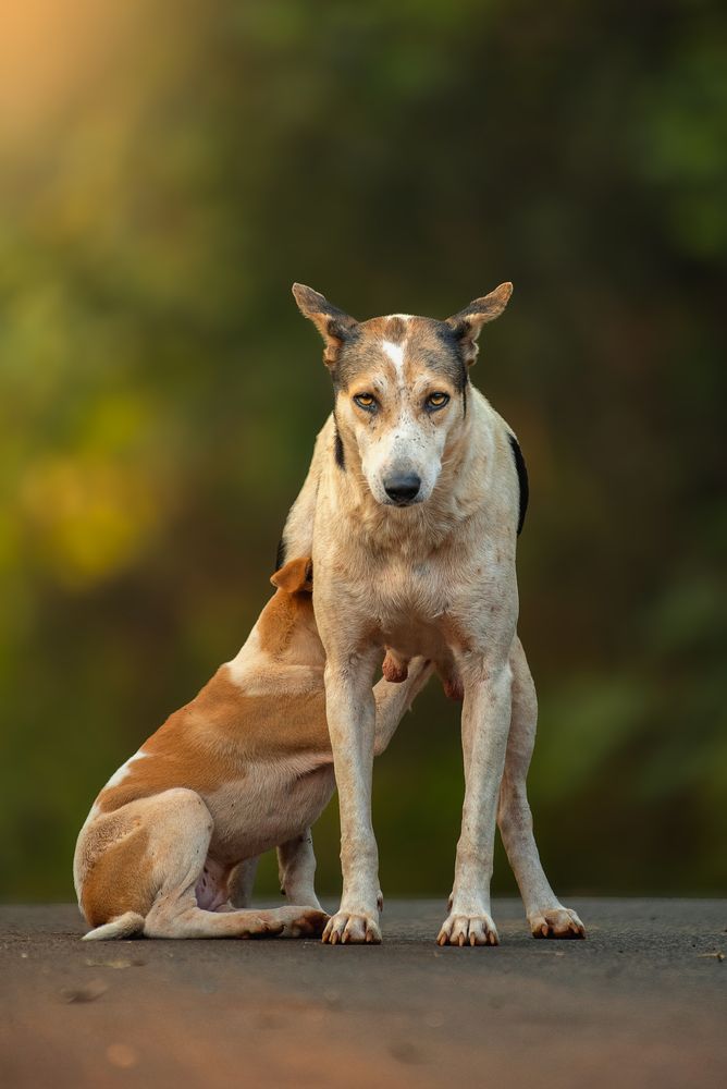 Photograph by Neeraj Gade