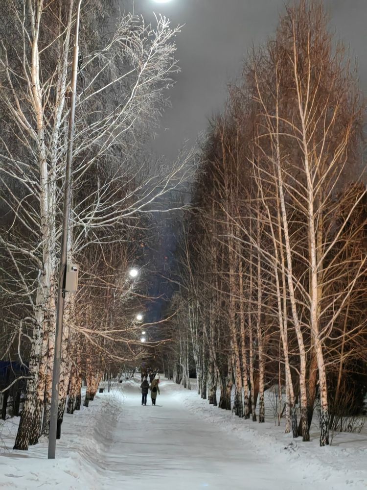 Фотография автора Алёна С-К