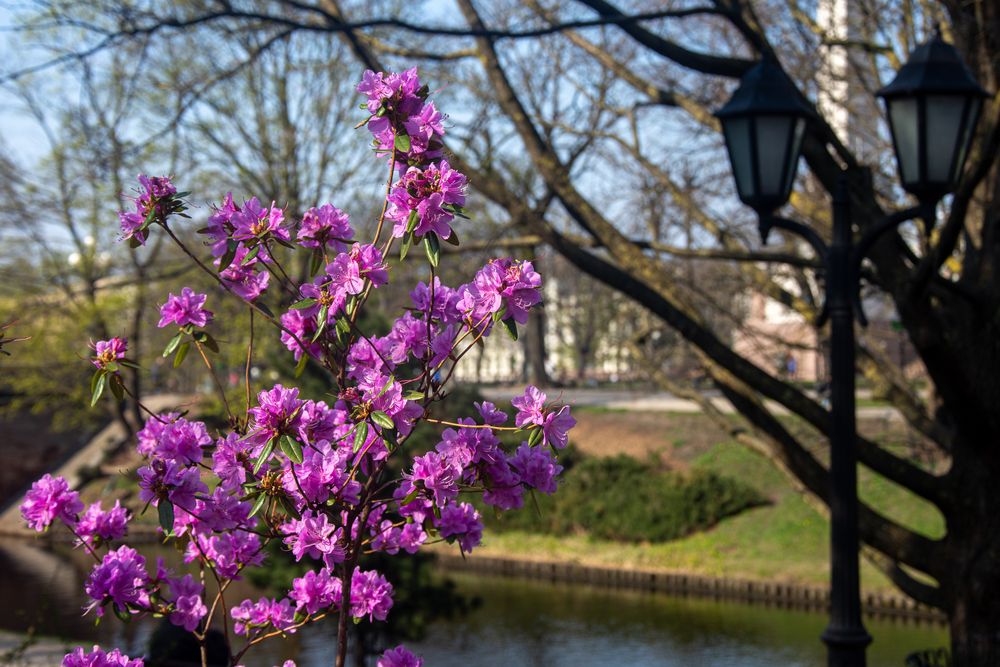 Фотография автора Нина Шкляр
