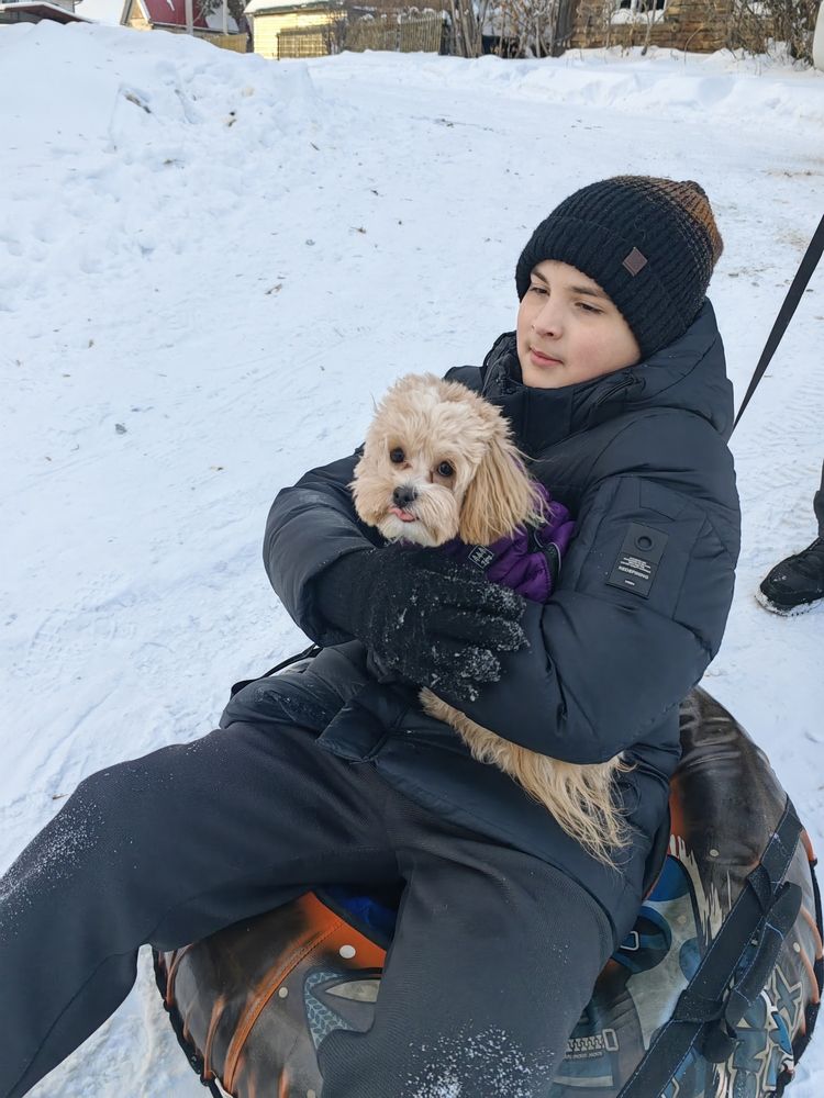 Фотография автора Алёна С-К