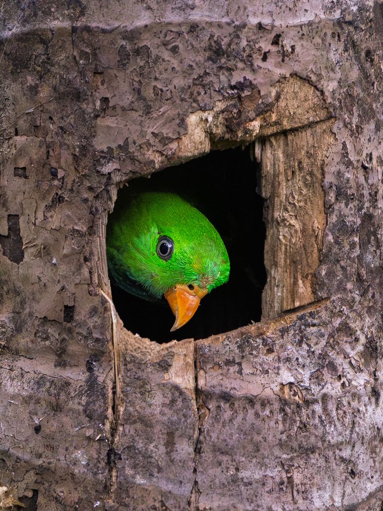 Photograph by Vipin P C