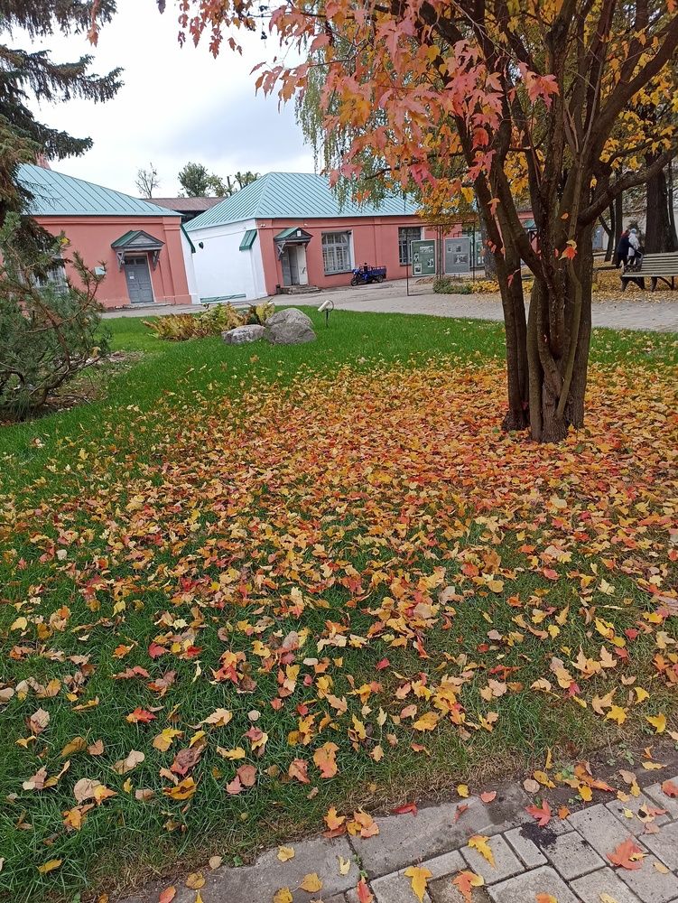 Photograph by Анна Виноградова