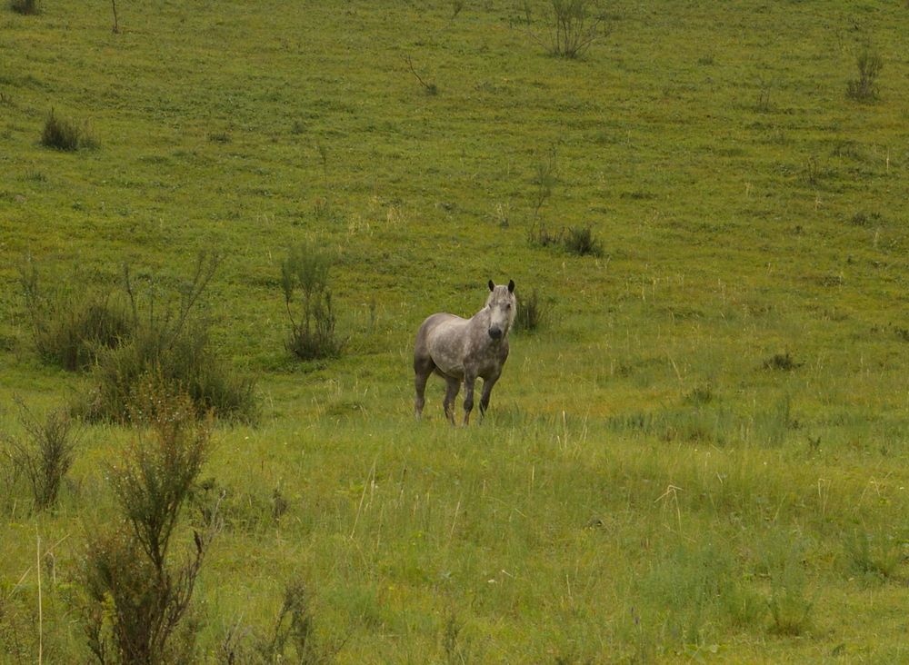 Photograph by Елена Алешкевич