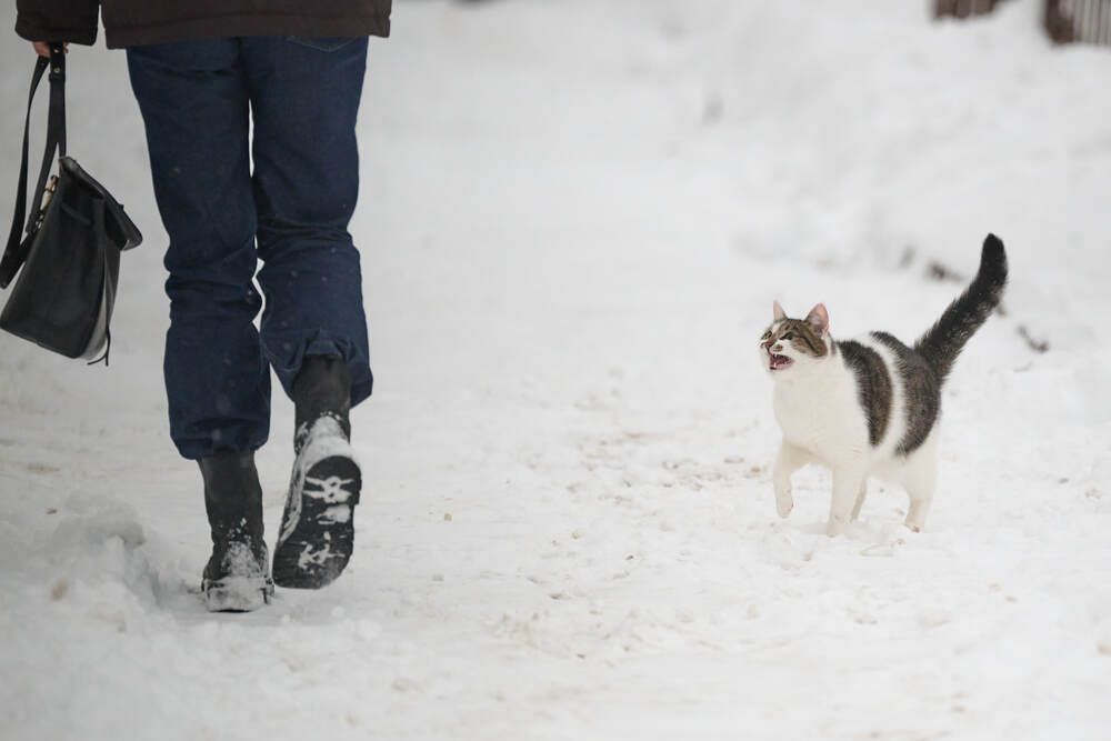 Photograph by Дмитрий Солодухин