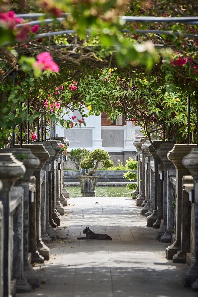 Фотография автора Павел Золенко