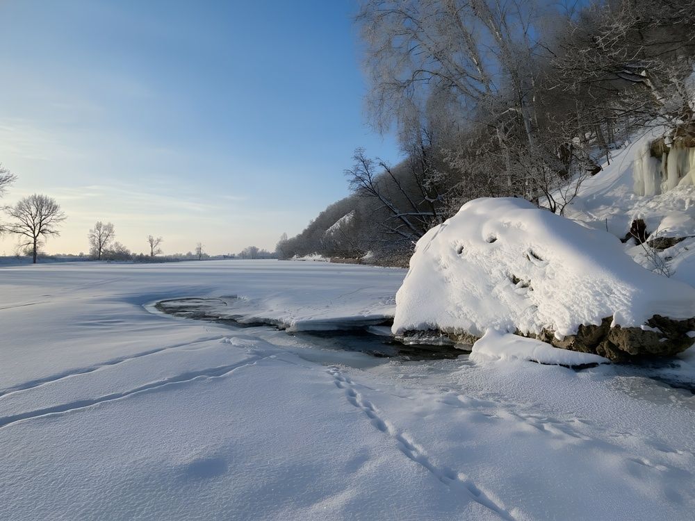 Photograph by Алла Саблина