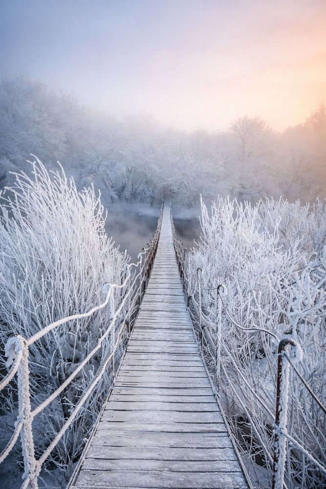 Photograph by Игорь Васильев