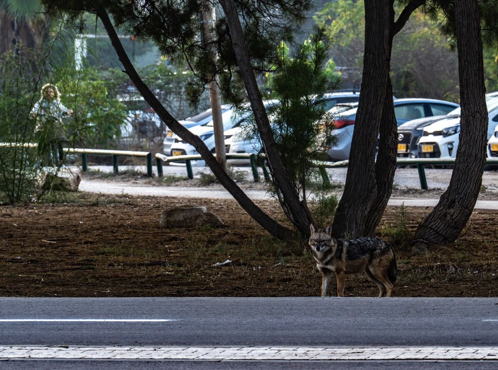 Photograph by Igor Shulkin