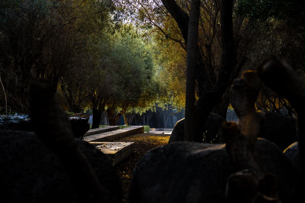 Photograph by Igor Shulkin