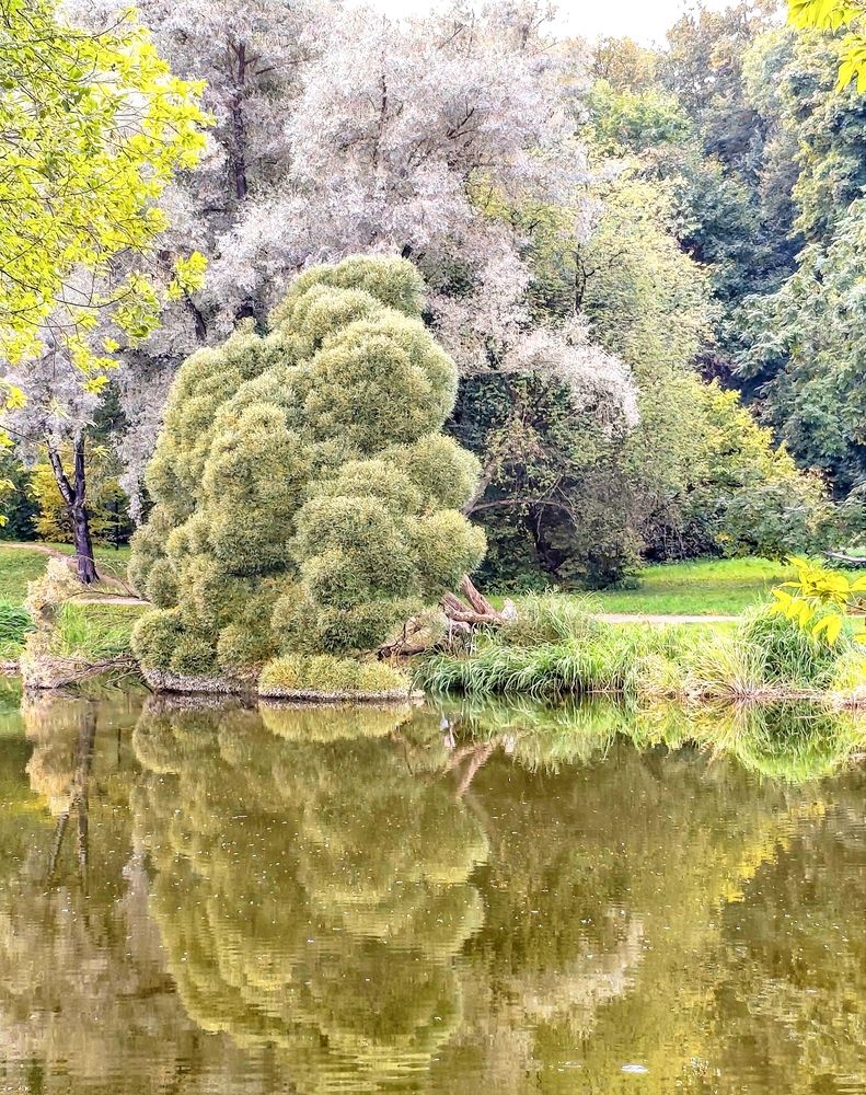 Photograph by Марина Бедрина