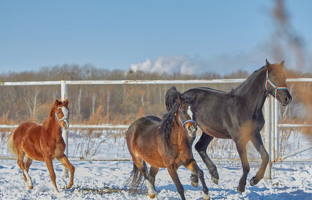 Фотография автора Наталия Мащенко