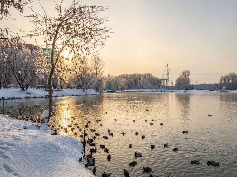 Photograph by Алла Саблина