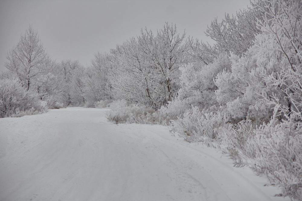Фотография автора Наталия Мащенко
