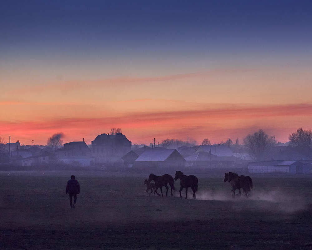Photograph by Андрей Калачев