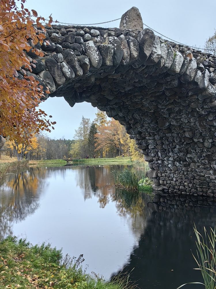 Photograph by Светлана Зыкова