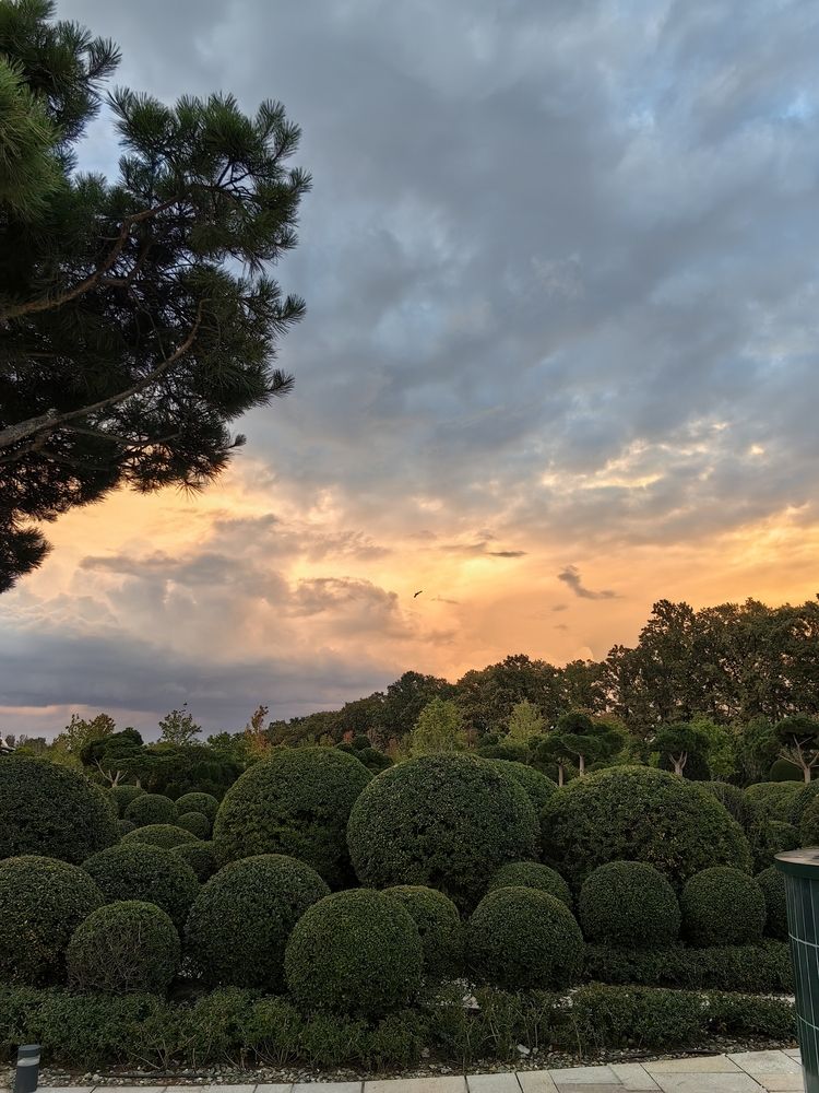 Photograph by Светлана Зыкова