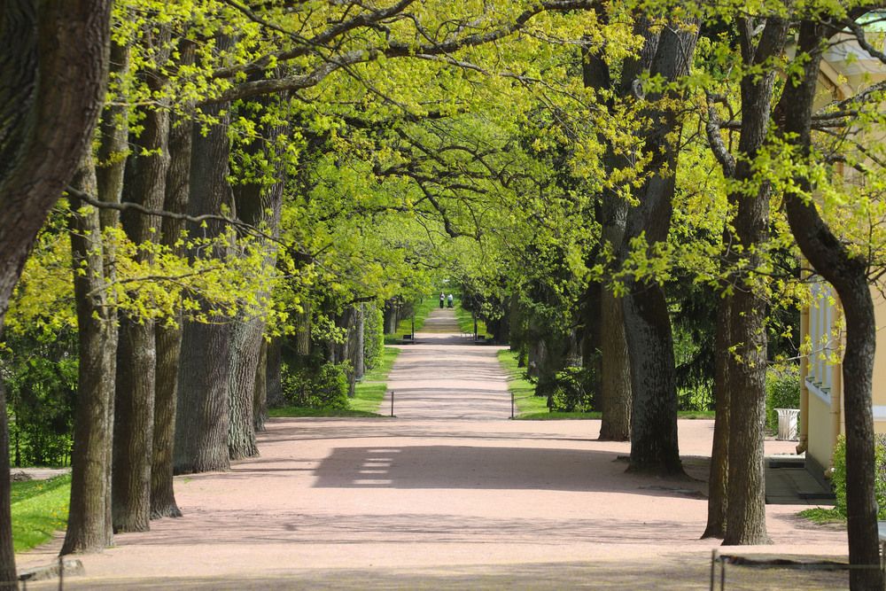 Photograph by Андрей Вешняков