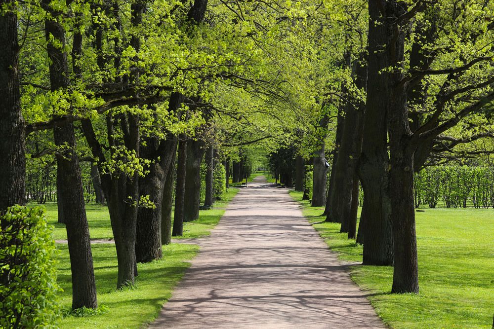 Photograph by Андрей Вешняков