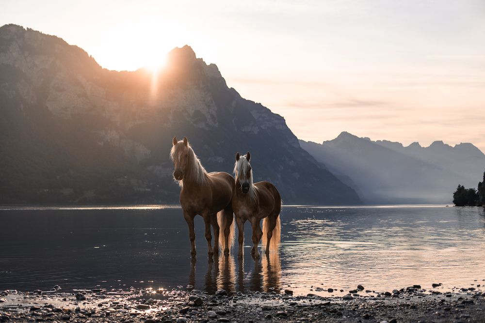 Photograph by Fabienne Gassmann