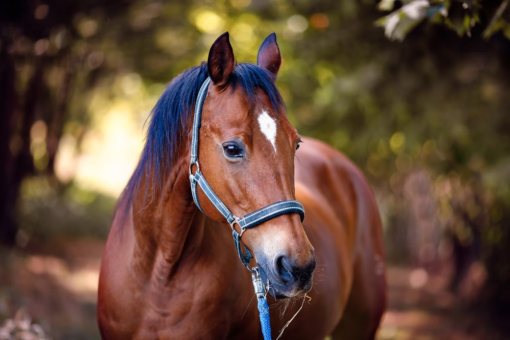 Photograph by Марина Ермолаева