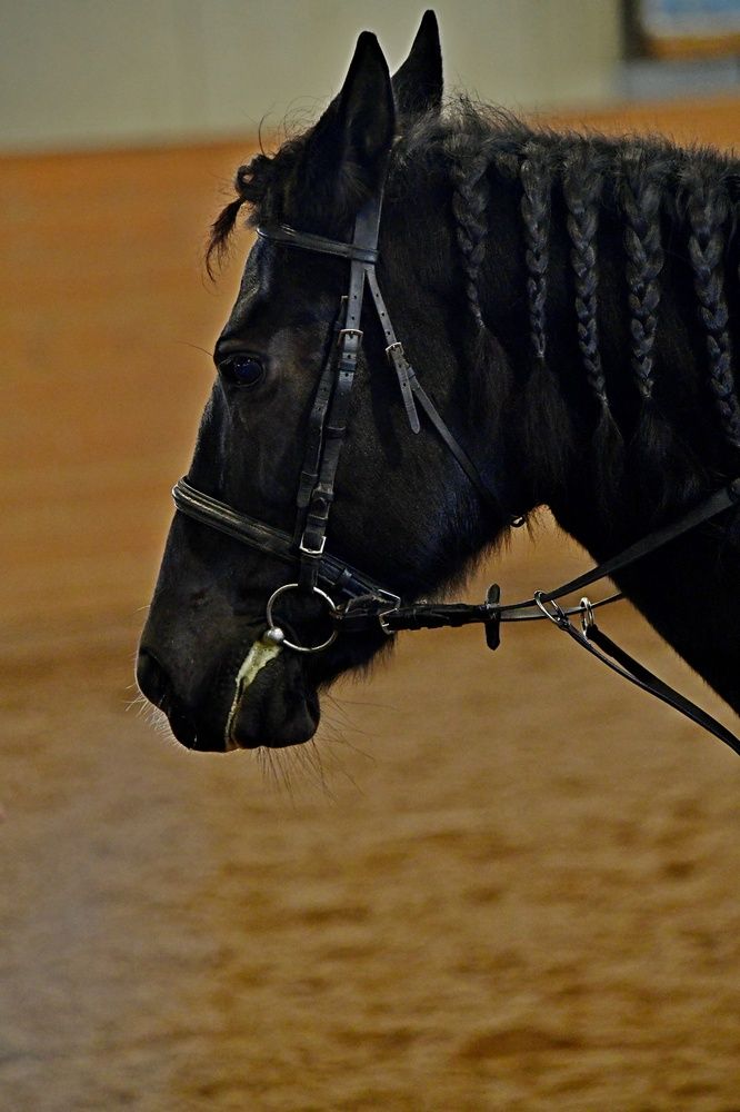 Фотография автора Алексей Volg